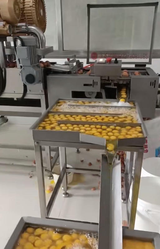 All-in-One Egg Washing and Cracking Machine