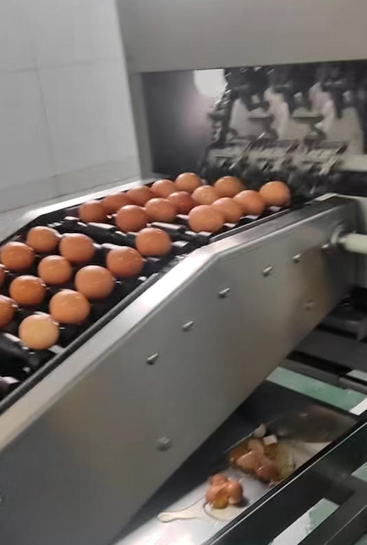 All-in-One Egg Washing and Cracking Machine