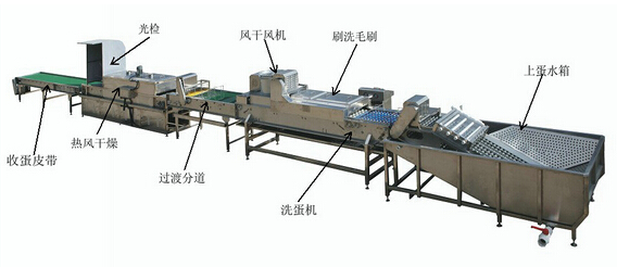 Main structural materials of egg-washing machines and methods for unexpected maintenance
